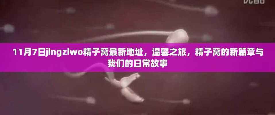 温馨之旅揭秘,精子窝新篇章与日常故事