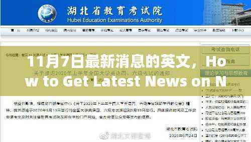 如何获取11月7日最新消息,初学者与高级用户分步指南