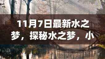 探秘水之梦，小巷中的独特水韵宝藏，全新魅力展现于11月7日