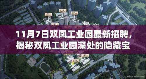 双凤工业园招聘盛事揭秘,隐藏宝藏与小巷特色小店招募人才