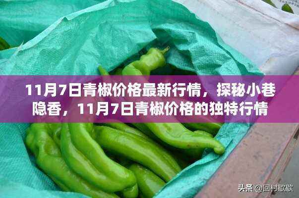 探秘青椒行情,揭秘小巷隐香,最新青椒价格行情解析(11月7日)