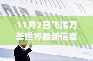飞鹏万荟世界最新信息深度解析,揭秘11月7日动态