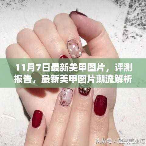 时尚美甲揭秘,最新图片潮流解析与评测报告——以时尚美甲为例(11月7日更新)