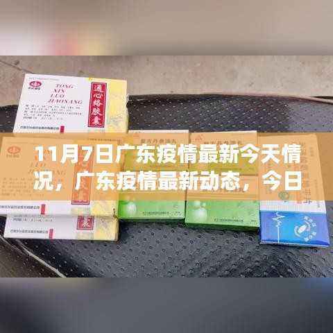 广东疫情最新动态深度观察,11月7日深度分析与影响