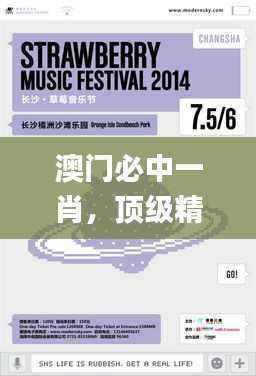 澳门必中一肖,顶级精选解析定义_游戏版VDE875.11