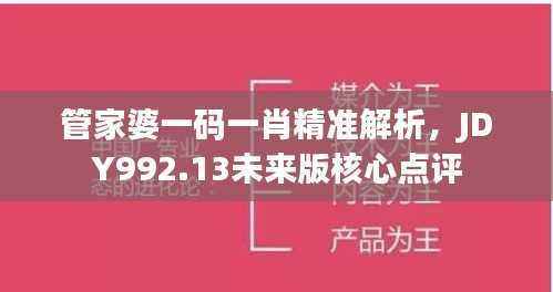 管家婆一码一肖精准解析,JDY992.13未来版核心点评