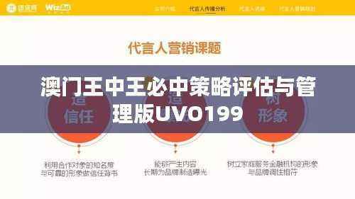 澳门王中王必中策略评估与管理版UVO199