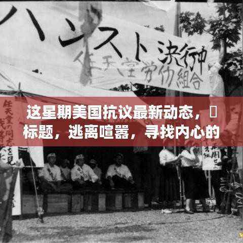 美国抗议新动态下的自然探索之旅,寻求内心的宁静与逃离喧嚣的旅程