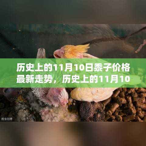 历史上的11月10日黍子价格走势深度解析及最新市场动态