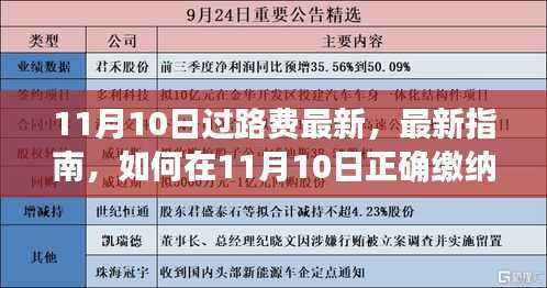 11月10日过路费缴纳最新指南，正确缴纳过路费步骤详解