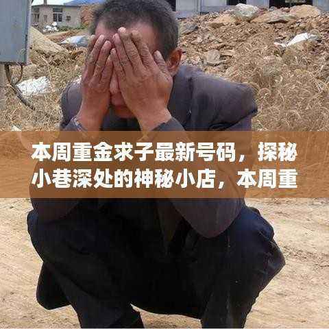 探秘神秘小店,本周重金求子最新号码的独特魅力揭晓