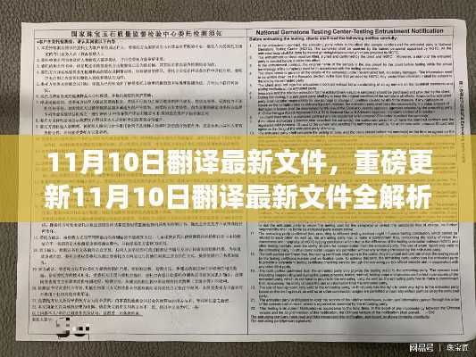 11月10日翻译最新文件全解析,掌握前沿资讯的必备攻略