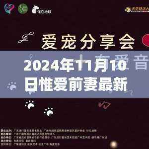 时光之笔下的惟爱前妻,最新章节回顾与影响分析 2024年11月10日更新