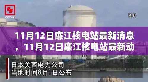 11月12日廉江核电站最新动态及深度解析