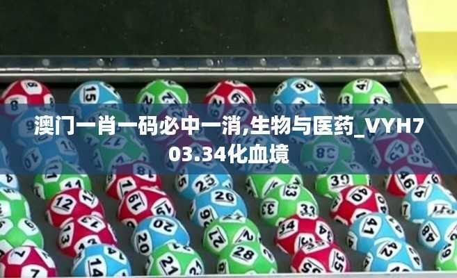 澳门一肖一码必中一消,生物与医药_VYH703.34化血境