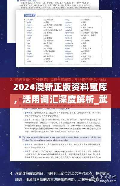2024澳新正版资料宝库,活用词汇深度解析_武王境BDC641.19