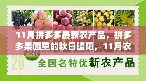 拼多多果园里的秋日暖阳,11月农产品与友情的温馨篇章