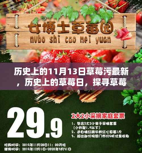 探寻草莓日,草莓与数字11月13日的神秘联系揭秘