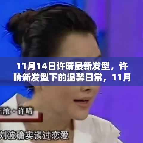 许晴11月14日新发型亮相,温馨日常中的美丽邂逅