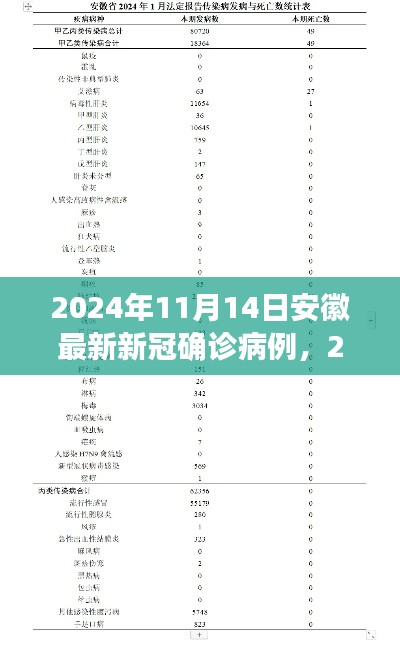 安徽最新新冠确诊病例分析与观察,2024年11月14日最新报告