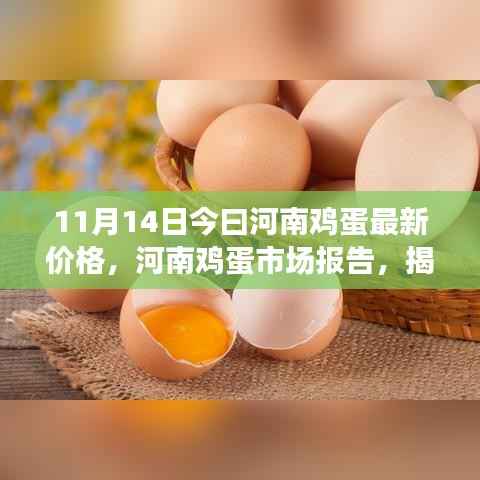 揭秘今日(11月14日)河南鸡蛋市场走势,最新价格及影响因素分析报告