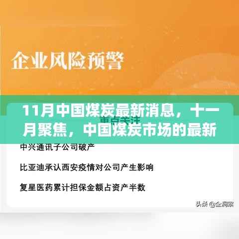 11月中国煤炭市场最新动态与深度洞察