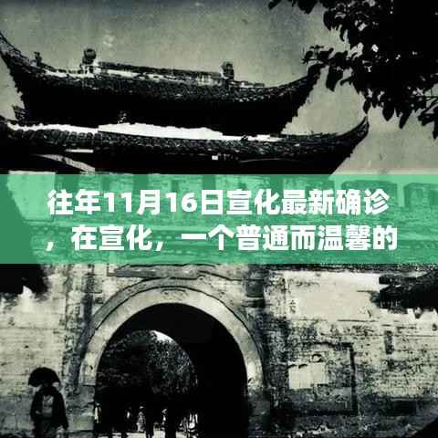 宣化十一月十六日最新确诊,温馨日常中的不平凡时刻