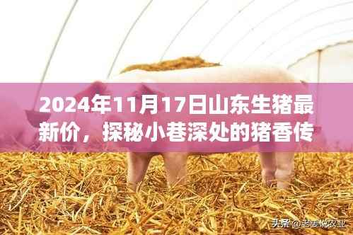 探秘山东小巷深处的猪香传奇，揭秘山东生猪最新价格与美食秘境的奥秘