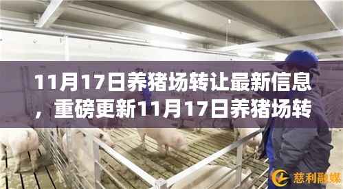 把握养猪场转让新机遇,共创畜牧业新篇章——最新养猪场转让信息重磅更新