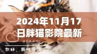 胖猫影院的温馨日常,友情、欢笑与共同观影的美好时光(2024年11月17日更新)
