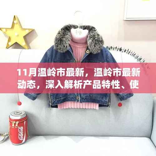 温岭市最新动态深度解析,产品特性、用户体验与目标用户揭秘
