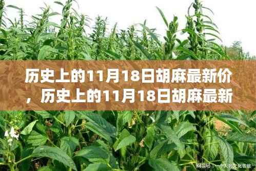 历史上的11月18日胡麻最新价,绿色征途中的内心平静探寻