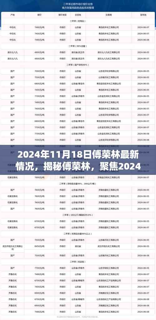 揭秘傅荣林,最新动态与成长历程(2024年11月18日更新)