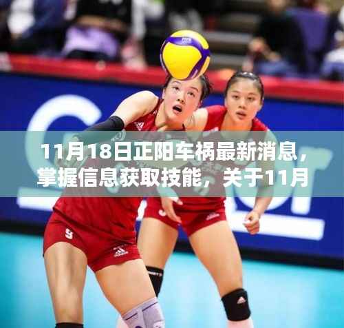 11月18日正阳车祸最新消息及信息获取技能指南