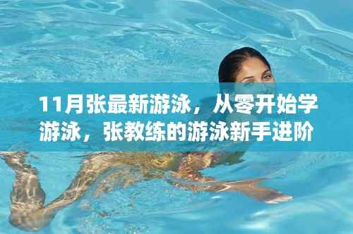 张教练游泳新手进阶指南,从零基础到进阶游泳技巧全解析(11月最新版)