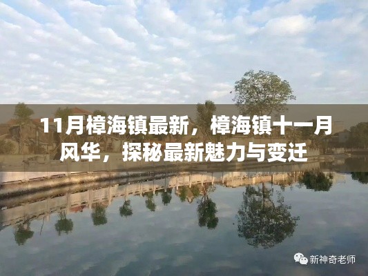樟海镇十一月风华揭秘,最新魅力与变迁探秘
