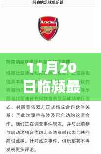 临颍最新诈骗事件曝光,警钟长鸣,警惕身边陷阱(11月20日特辑)