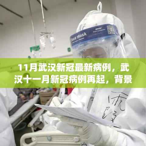 武汉十一月新冠疫情再起,背景、进展与时代印记的病例报告
