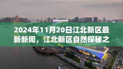 江北新区自然探秘之旅,寻找内心平静的奇妙新闻之旅(2024年11月20日最新消息)