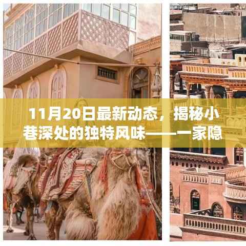 揭秘小巷深处的独特风味,一家隐藏于喧嚣之外的特色小店新发现