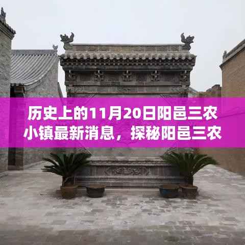 探秘阳邑三农小镇，历史与美食交织的隐秘宝藏——最新消息与特色小店揭秘