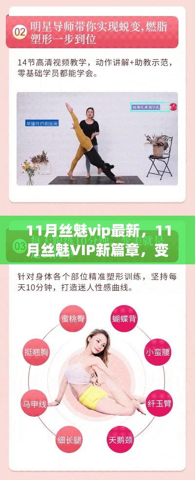 11月丝魅vip最新,11月丝魅VIP新篇章,变化中的学习,自信与成就感的源泉