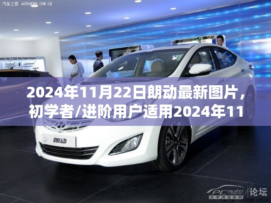 朗动最新图片获取与欣赏指南,适合初学者与进阶用户,2024年11月22日更新