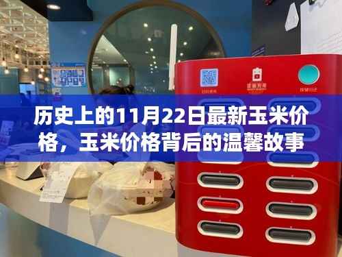 历史上的11月22日最新玉米价格,玉米价格背后的温馨故事,一个特别的11月22日
