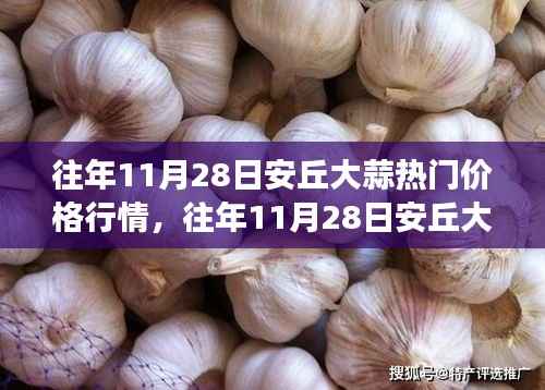 揭秘往年11月28日安丘大蒜市场行情,热门价格走势详解与深度剖析市场走势策略!