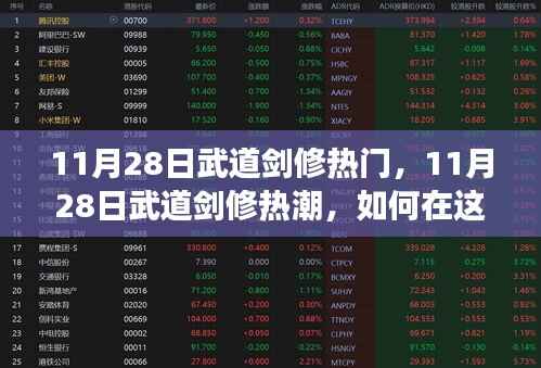 11月28日武道剑修热潮,如何在人生修炼中自信闪耀,挑战自我