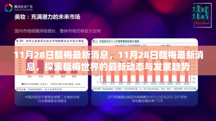 探索馥梅世界,最新动态与趋势报道