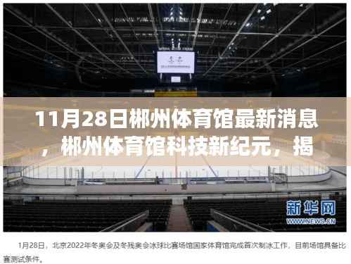揭秘郴州体育馆科技新纪元,炫酷功能与极致体验的高科技产品亮相报道