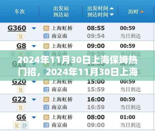 2024年11月30日上海保姆市场热门招聘趋势解析