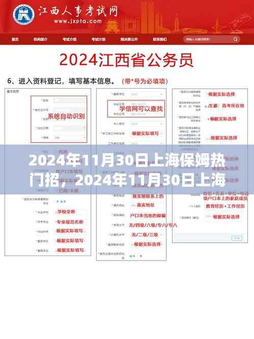 2024年11月30日上海保姆市场热门招聘趋势解析
